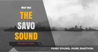 Unveiling the Savo Sound: A Historic Naval Battle's Echoes