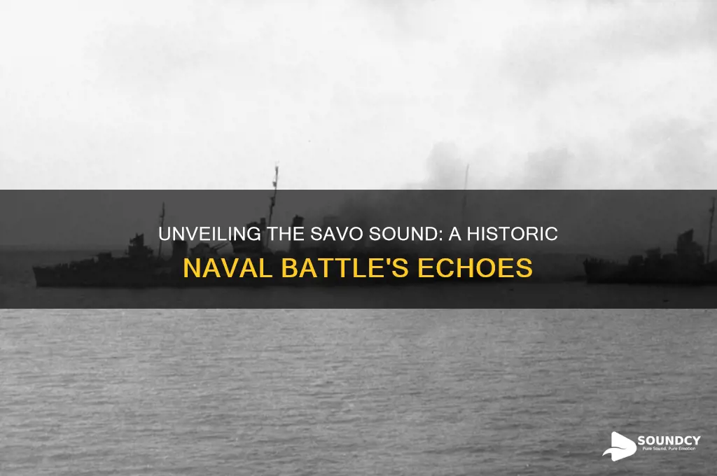 what was the savo sound