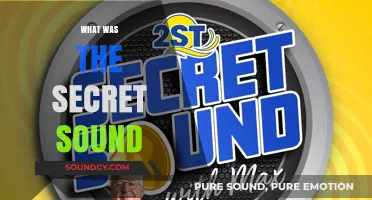 Unveiling the Mystery: What Was the Secret Sound?