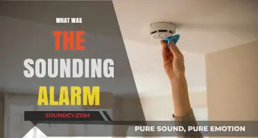 Unraveling the Mystery: What Was the Sounding Alarm?