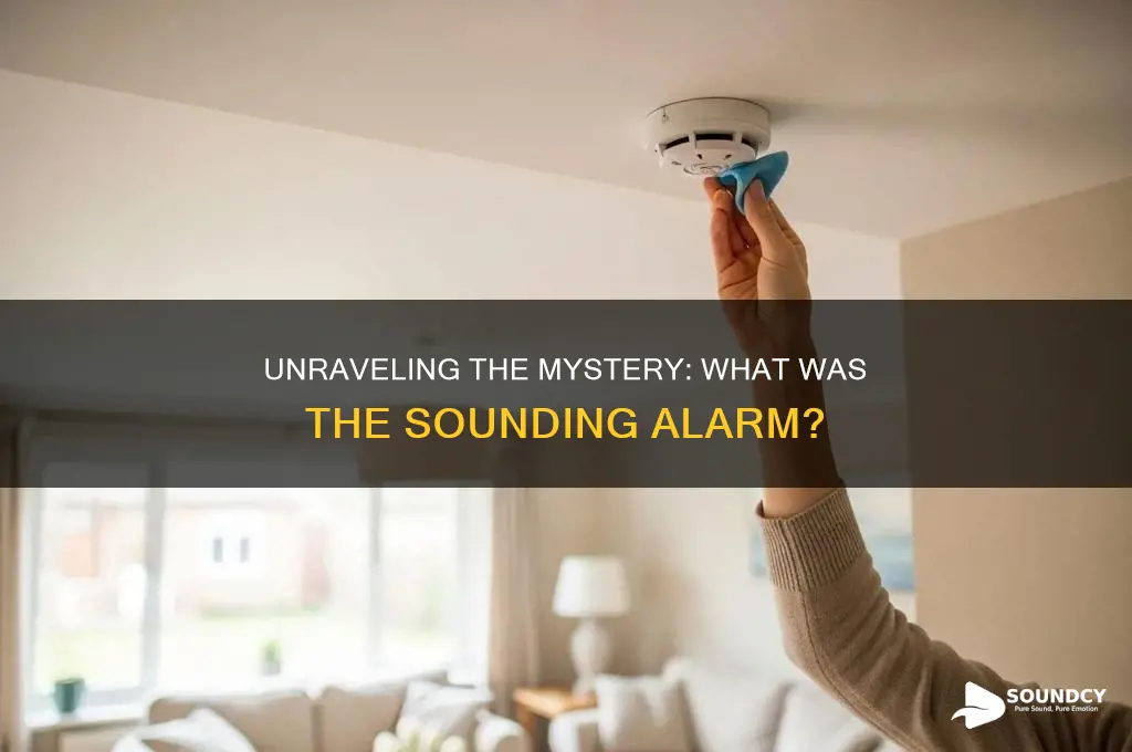 what was the sounding alarm