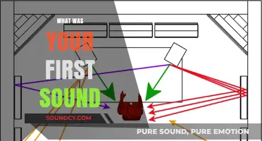 Echoes of Beginnings: Unveiling the Mystery of Your First Sound
