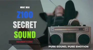 Unveiling the Mystery: What Was Z100's Secret Sound?