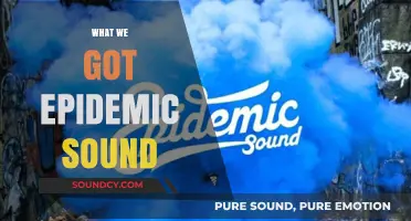 Unveiling the Epidemic Sound Phenomenon: What We Got and Why It Matters
