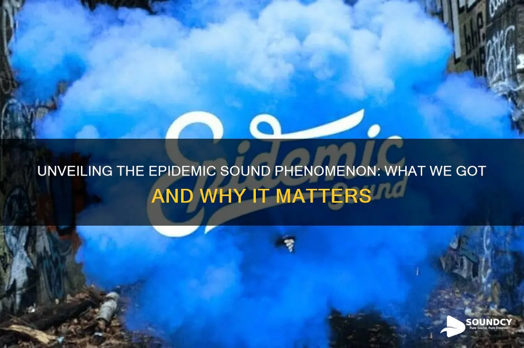what we got epidemic sound
