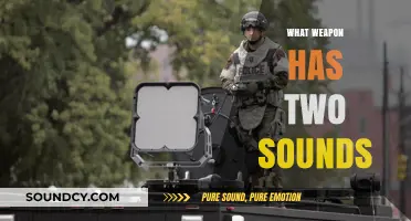 The Dual-Sound Mystery: Unveiling the Weapon with Two Distinct Sounds