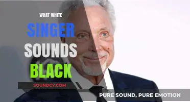 Exploring the Soulful Voices: White Singers with Distinctly Black Sound