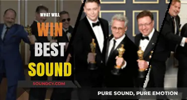 Best Sound Winner: Predicting the Top Audio Excellence of the Year