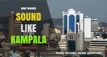 Kampala's Sonic Identity: Exploring Words That Echo Uganda's Vibrant Capital