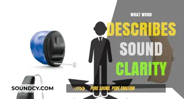 Unveiling the Term for Pristine Sound Clarity: A Comprehensive Guide