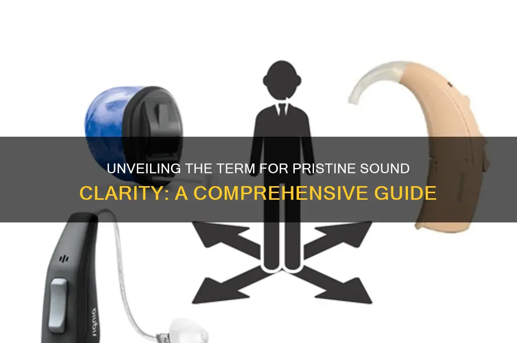 what word describes sound clarity