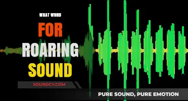 Exploring the Perfect Word to Describe a Roaring Sound