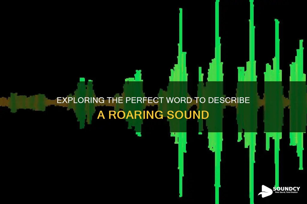 what word for roaring sound