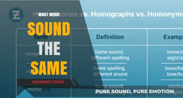 Homophones Unveiled: Exploring Words That Sound Alike But Mean Differently