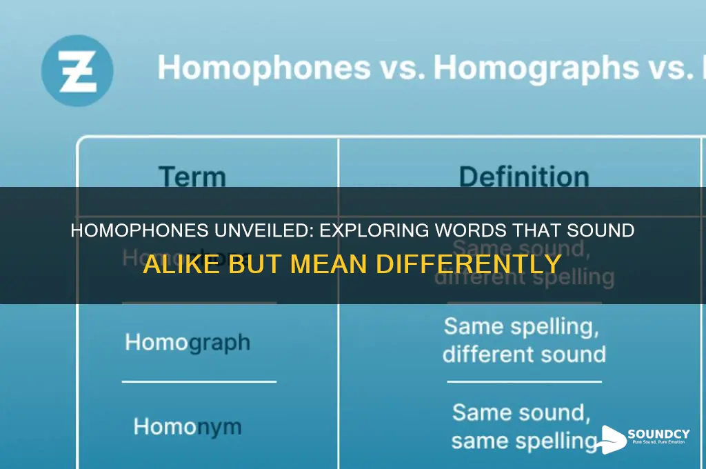 what word sound the same