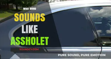 What Word Sounds Like Assholet? Unraveling the Phonetic Mystery and Its Origins