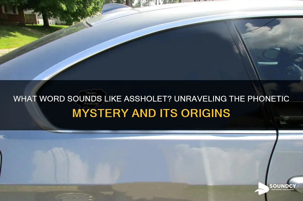 what word sounds like assholet