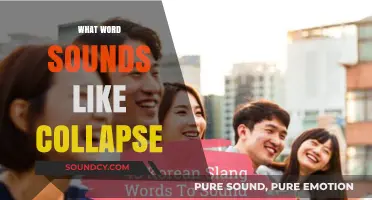 Words That Echo Collapse: Exploring Phonetic Twins and Linguistic Nuances