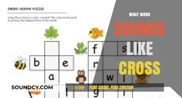 Words That Sound Like Cross: Exploring Homophones and Near-Homophones