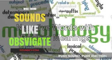 Unraveling the Mystery: Words That Sound Like Obsvigate Explored