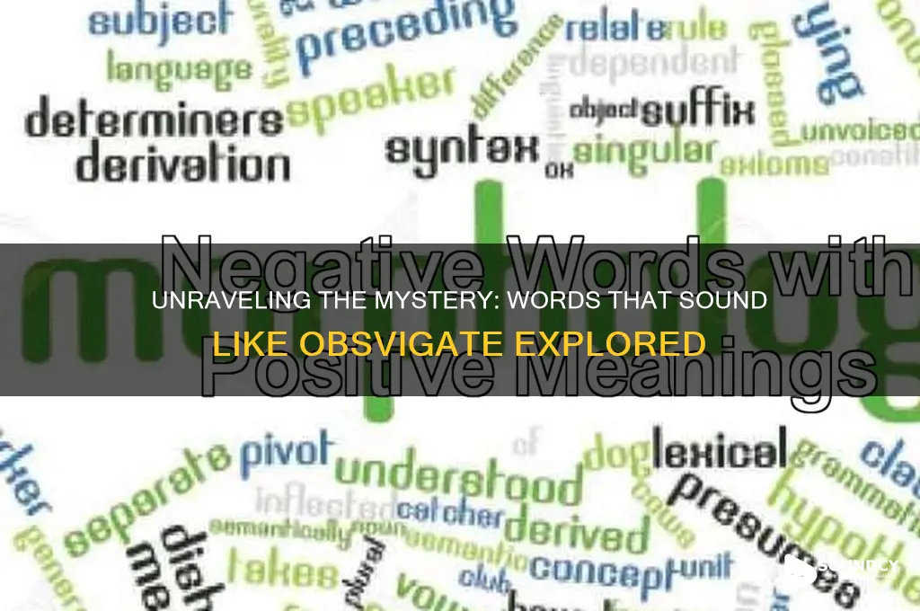 what word sounds like obsvigate