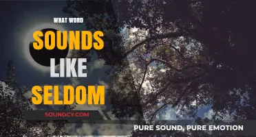Discovering Words That Sound Like Seldom: A Linguistic Exploration