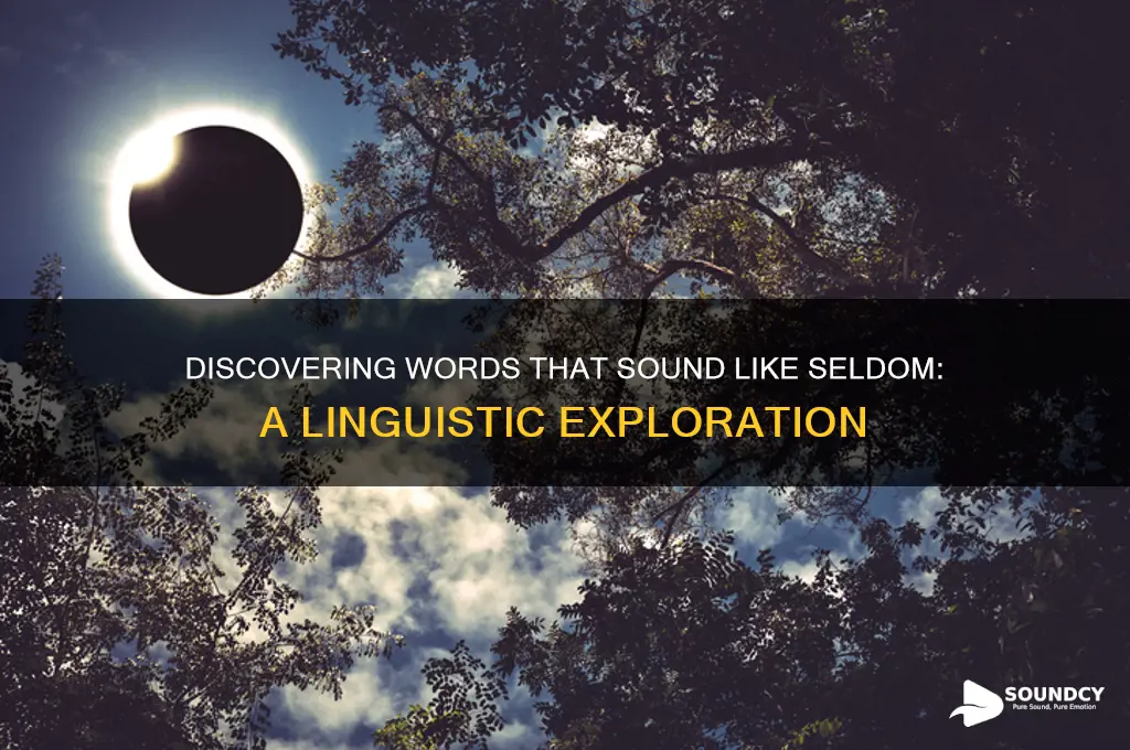 what word sounds like seldom