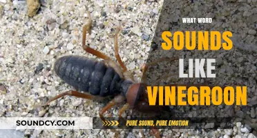 Unraveling the Mystery: What Word Sounds Like Vinegroon?