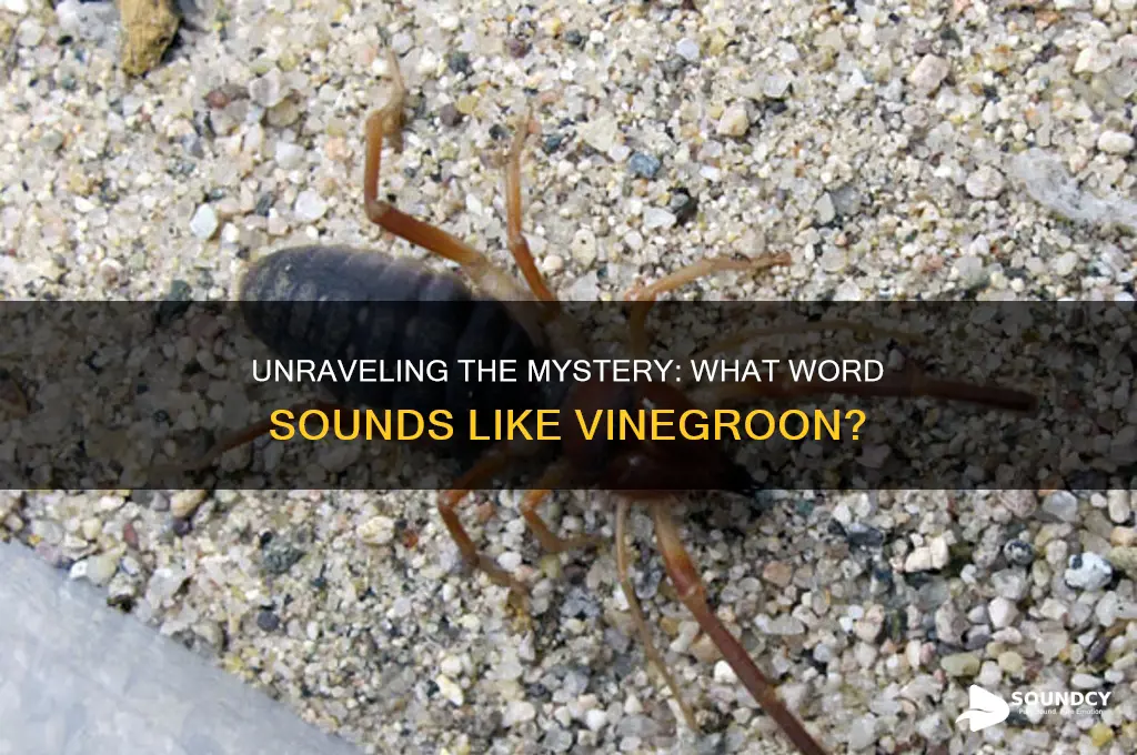 what word sounds like vinegroon