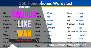 Wan's Homophones: Exploring Words That Sound Like 'Wan' in English