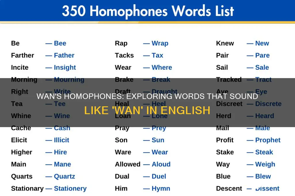 what word sounds like wan