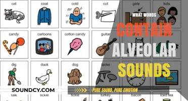 Exploring Alveolar Sounds: Words with Tongue-to-Tooth Consonants
