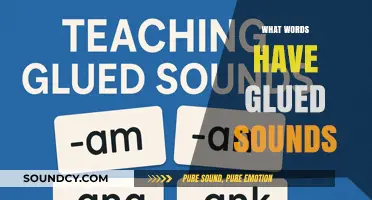 Exploring Glued Sounds: Words with Blended Phonemes in Language