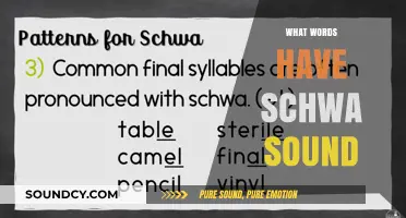Unveiling the Schwa: Words with the Most Common Vowel Sound in English