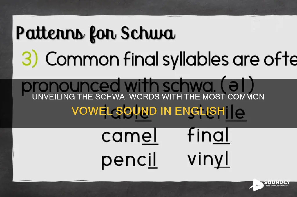 what words have schwa sound