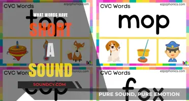 Short 'A' Sound Words: Exploring the 'A' Sound in Words