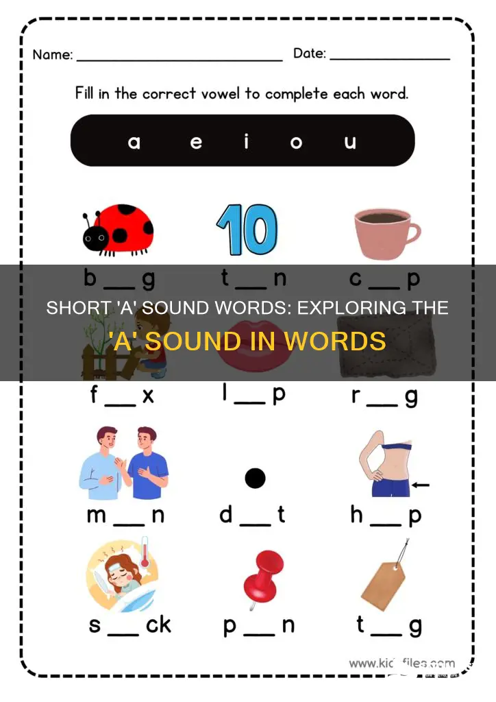 what words have short a sound