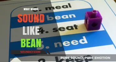 Words That Echo 'Bean': Exploring Phonetic Twins and Sound-Alike Terms