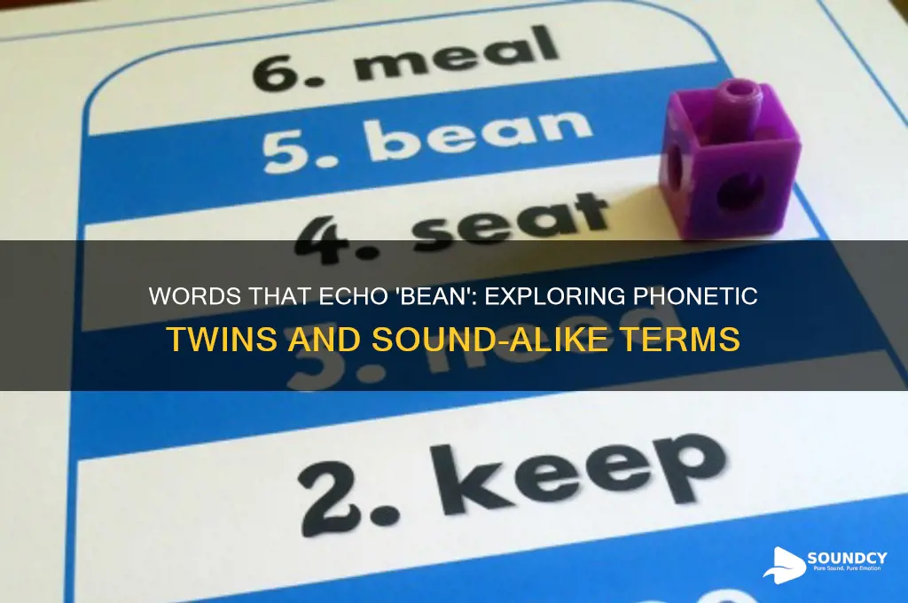 what words sound like bean