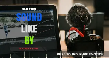 What Words Sound Like By: Exploring Phonetic Similarities and Language Nuances