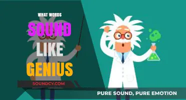 Mastering Vocabulary: Words That Instantly Make You Sound Like a Genius