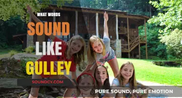 Words That Echo 'Gulley': Exploring Phonetic Twins and Sound-Alike Terms