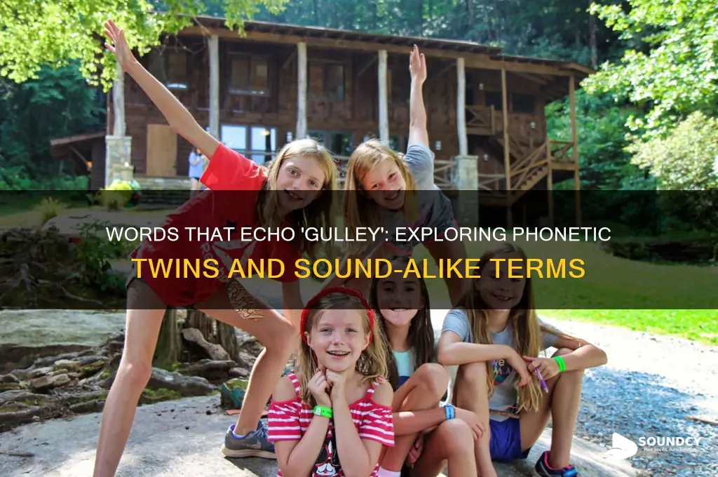 what words sound like gulley