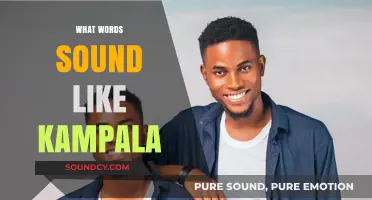 Exploring Kampala's Sonic Twins: Words That Echo Uganda's Vibrant Capital