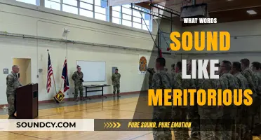 Words That Echo Excellence: Unveiling Meritorious Sound-Alikes