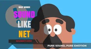 Words That Echo 'Net': Surprising Homophones and Near-Matches in English