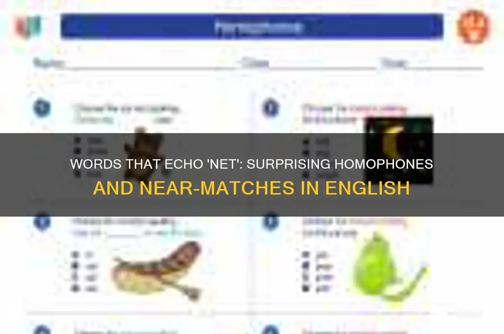 what words sound like net