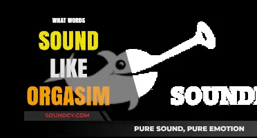 Words That Whisper Pleasure: Sounds That Mimic Orgasmic Sensations