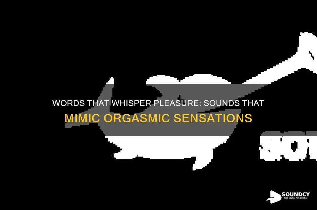 what words sound like orgasim