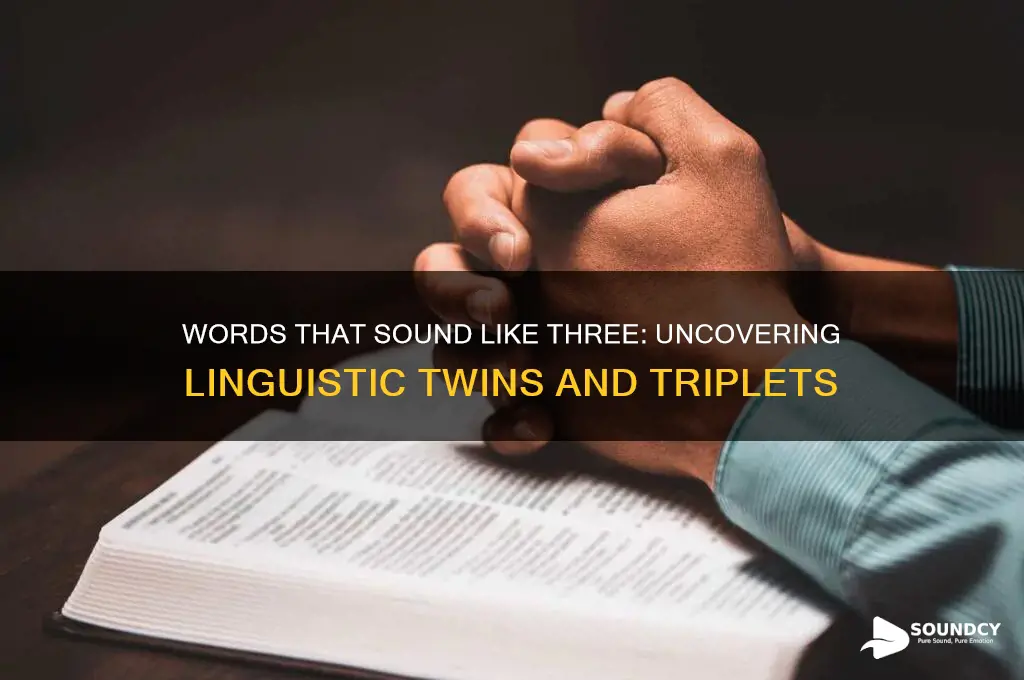 what words sound like three